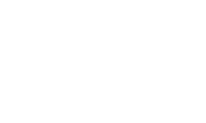 logo-alt