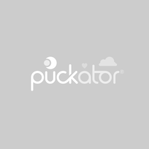 Dreamcatcher (Small) - Lisa Parker Guidance Wolf