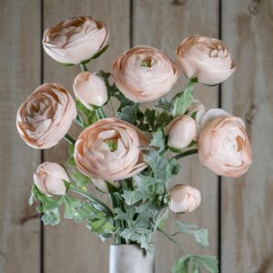 Pastel Pink Ranunculus